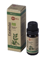 Aromed Olie Eucalyptus Bio 10ML