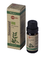 Aromed Olie Sinaasappel Bio 10ML Aromed Olie Sinaasappel Bio 10ML