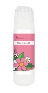 Balance Pharma Flowerplex 056 Het Kind In Jezelf 6GR Balance Pharma Flowerplex 056 Het Kind In Jezelf 6GR