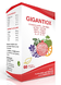 Soria Natural Soria Gigantiox Tabletten 60TB Soria Natural Soria Gigantiox Tabletten 60TB