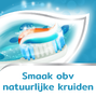 Aquafresh Cool Mint Tandpasta - voor gezonde tanden 75ML2