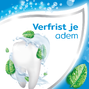 Aquafresh Cool Mint Tandpasta - voor gezonde tanden 75ML4