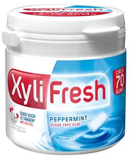 Xylifresh Peppermint Pot 70ST