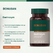 Bonusan Gastrozym Capsules 90VCP 109884