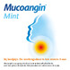 Mucoangin Ambroxol Mint 20mg Tabletten 18TB 22343
