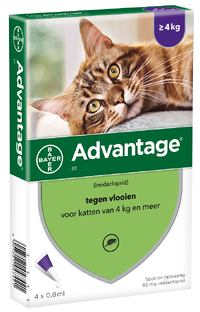 Advantage Kat 80 4ST Advantage Kat 80 4ST