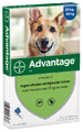 Advantage Hond 4ST