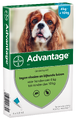 Advantage Hond 100 4ST