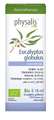 Physalis Aromatherapy Eucalyptus Globulus 10ML