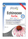 Physalis Echinacea Forte Tabletten 30TB 
