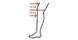 Lohmann & Rauscher Cellacare Genu Classic Kniebandage Maat 2 1ST tekening been