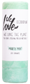 We Love The Planet Deodorant Stick Mighty Mint 65GR