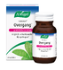 A.Vogel Famosan Overgang Gewichtsbeheersing* Tabletten 60TB 77558 A.Vogel Famosan Overgang Gewichtsbeheersing* Tabletten 60TB 77558