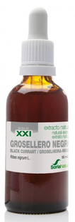 Soria Natural Soria Grosellero Negro Ribes Nigrum XXI Druppels 30CP