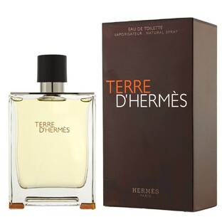 Hermes Terre D' Hermes Eau Intense Vetiver Eau de Toilette 100ML Hermes Terre D' Hermes Eau Intense Vetiver Eau de Toilette 100ML