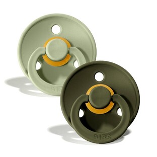 BIBS Fopspeen 18+ Maanden Sage/Hunter Green 2ST BIBS Fopspeen 18+ Maanden Sage/Hunter Green 2ST