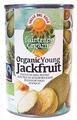 Valle del Sole Organic Young Jackfruit 400GR