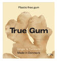 True Gum Ginger & Turmeric 21GR