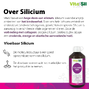 Vitasil Collagen Plus 500ML2
