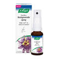 A.Vogel Passiflora Rustgevende* Spray 20ML
