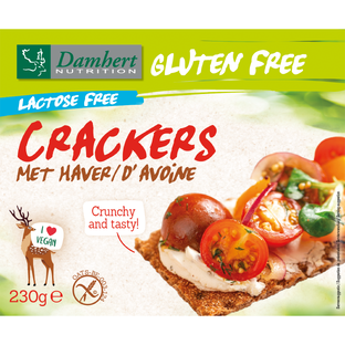 Damhert Gluten Free haver Crackers Lactose Free 230GR Damhert Gluten Free haver Crackers Lactose Free 230GR