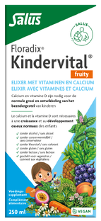 Salus Floradix Kindervital Fruity 250ML Salus Floradix Kindervital Fruity 250ML