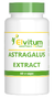 Elvitum Astragalus Extract Capsules 60CP
