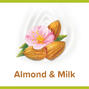 Palmolive Naturals Almond & Milk Douchecrème 250ML1