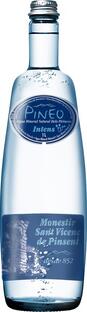 Pineo Intens Bruisend Water 1LT