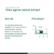 Bonusan Vitex Agnus Castus Extract Capsules 90CP 100483