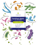Vitakruid Symflora® Basis Sachets 60ST1
