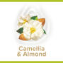 Palmolive Naturals Camelia & Amandelolie Douchecrème 250ML1