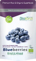 Biotona Blueberry Dried Infusion Bio 200GR