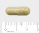 AOV 112 Multi Probiotica 50+ Capsules 60VCP Afmeting capsule