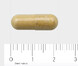 AOV 1007 Levernorm Capsules 60VCP Afmeting capsule AOV 1007 Levernorm Capsules 60VCP Afmeting capsule