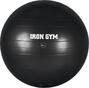DeOnlineDrogist.nl Iron Gym Exercise Ball 65cm 1ST2