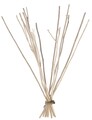 We Love The Planet Kajute Sticks 1ST