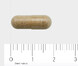 AOV 834 Bacopa Brahmi Vegacaps 60VCP Afmeting capsule
