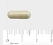 AOV 1106 Beta 1,3 Glucaan Capsules 60VCP 26905
