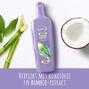 Andrelon Kokos Boost Shampoo 300ML1