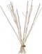 We Love The Planet Kajute Stokjes Groot 1ST 101865