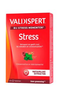 Valdispert Stress Moment Tabletten 20TB