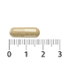 Lucovitaal Scutellaria 2000mg Capsules 30CP afmeting capsule