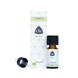 Chi Koriander Zaad Etherische Olie Biologisch 10ML 